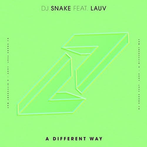 A Different Way Song Lyrics - DJ Snake Lauv