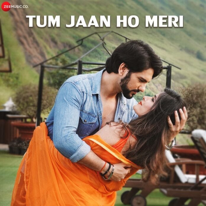 Tum Jaan Ho Meri Lyrics - Hiroo Thadani