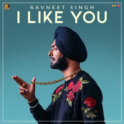 I Like You Song Lyrics
