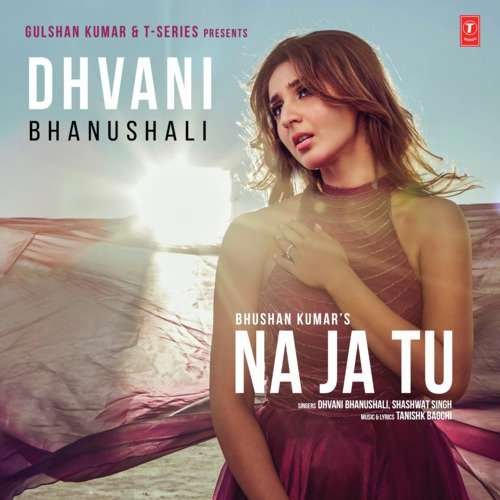 Na Ja Tu Song Lyrics Dhvani Bhanushali, Tanishk Bagchi