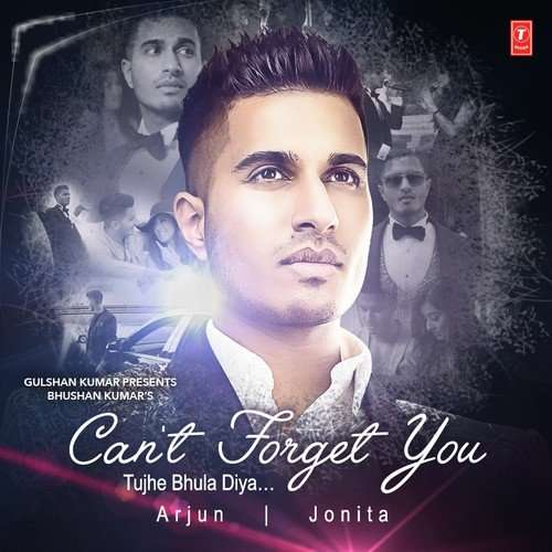 Can't Forget You (Tujhe Bhula Diya) Song Lyrics Arjun