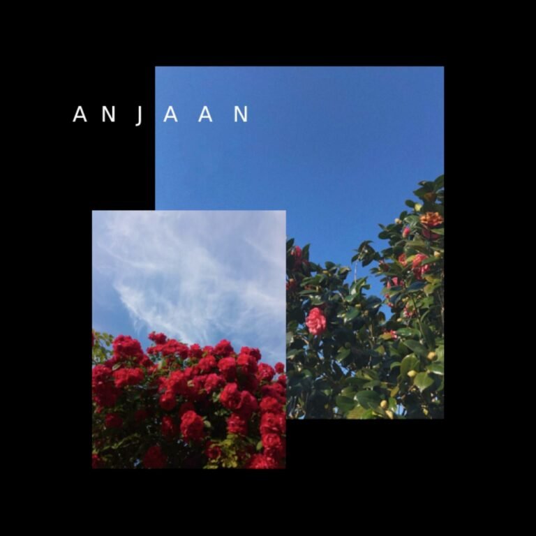 Anjaan Lyrics - Bol Jani Ft. Talhah Yunus, Nabeel Akbar
