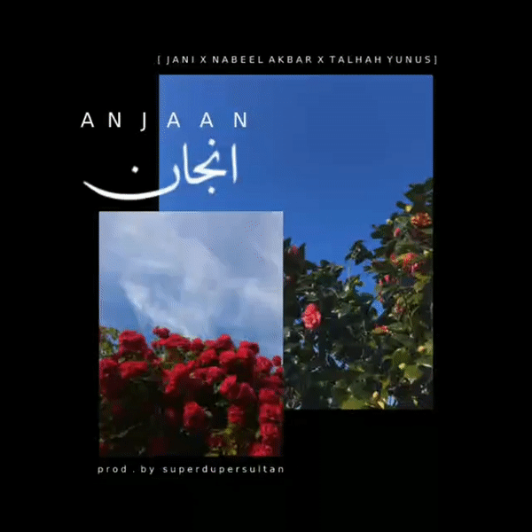 Anjaan Lyrics - Bol Jani Ft. Talhah Yunus, Nabeel Akbar