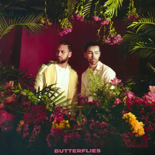 Butterflies Lyrics - MAX & Ali Gatie