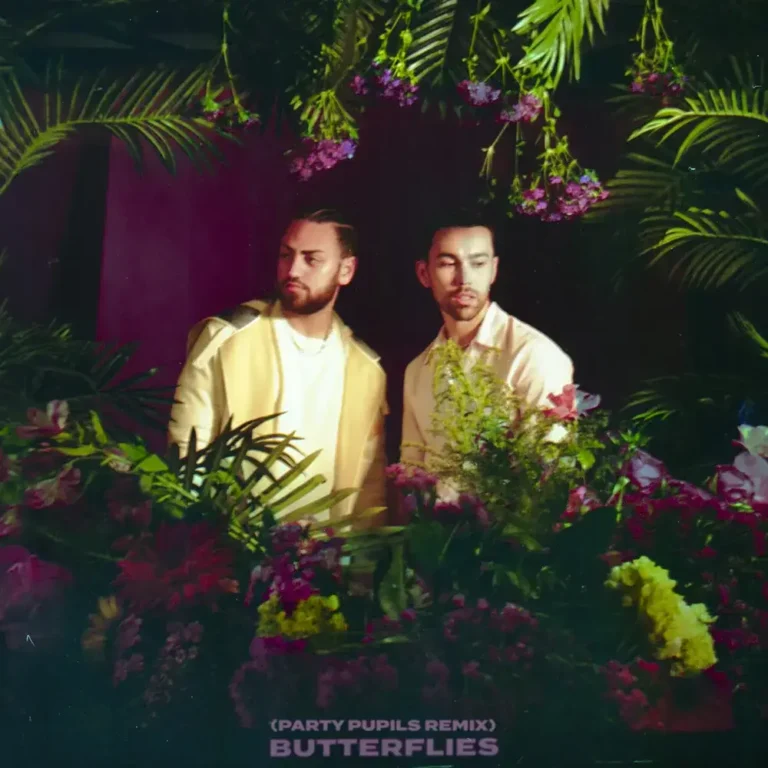 Butterflies Lyrics - MAX & Ali Gatie